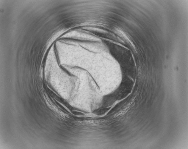 X0000059840900200511111741