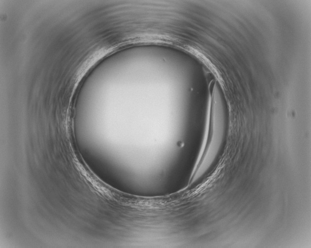 X0000059840901200511111741