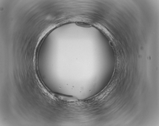 X0000059840902200511111741