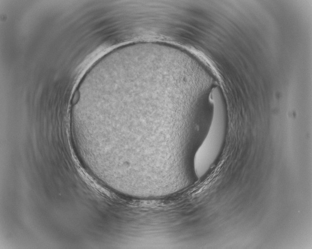 X0000059840903200511111741