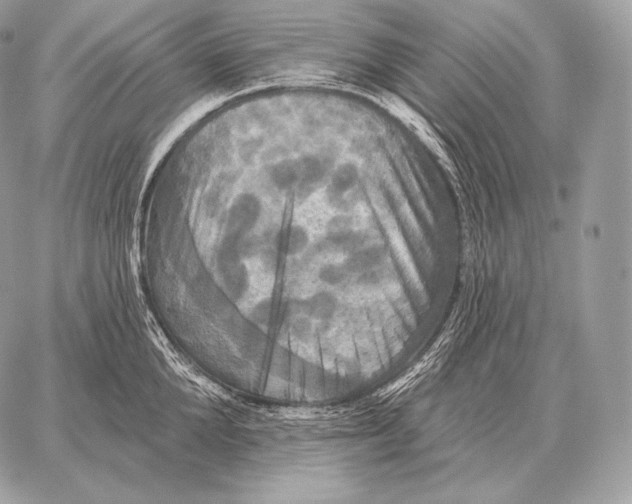 X0000059840904200511111741