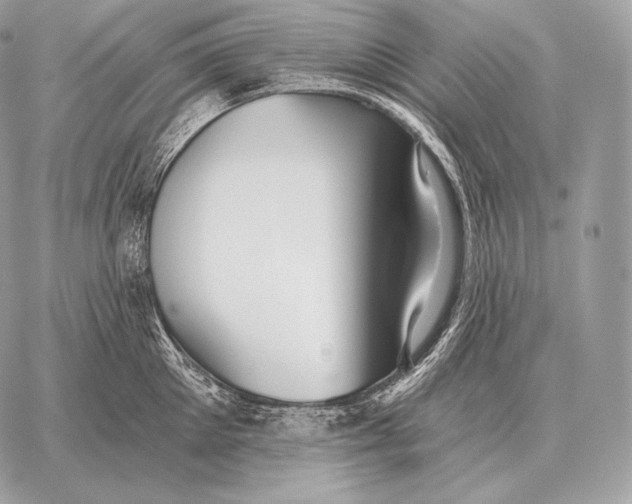 X0000059840905200511111741