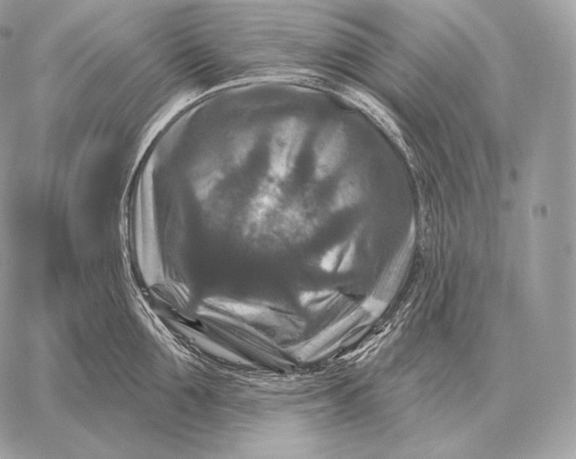 X0000059840907200511111741