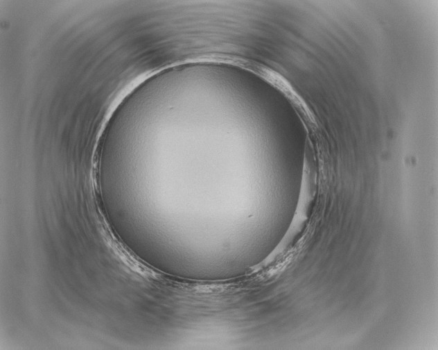 X0000059840908200511111741