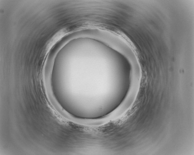 X0000059840909200511111741