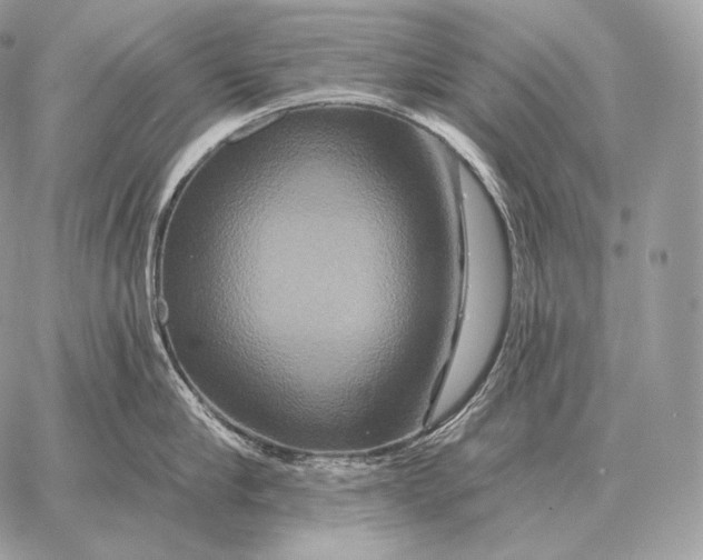 X0000059840910200511111741