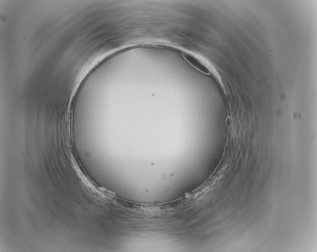 X0000059840911200511111741