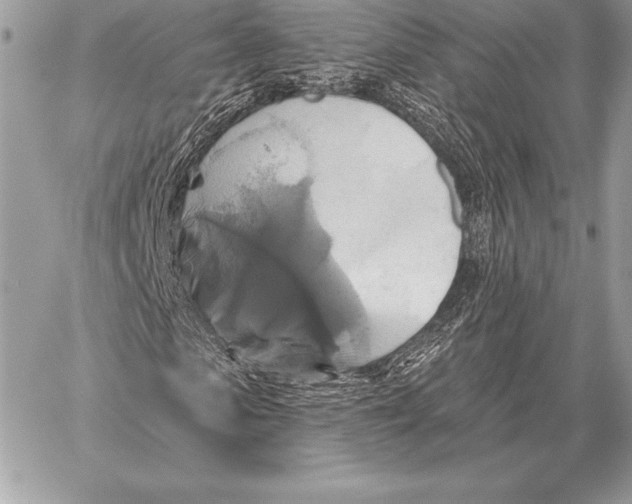 X0000059840913200511111740