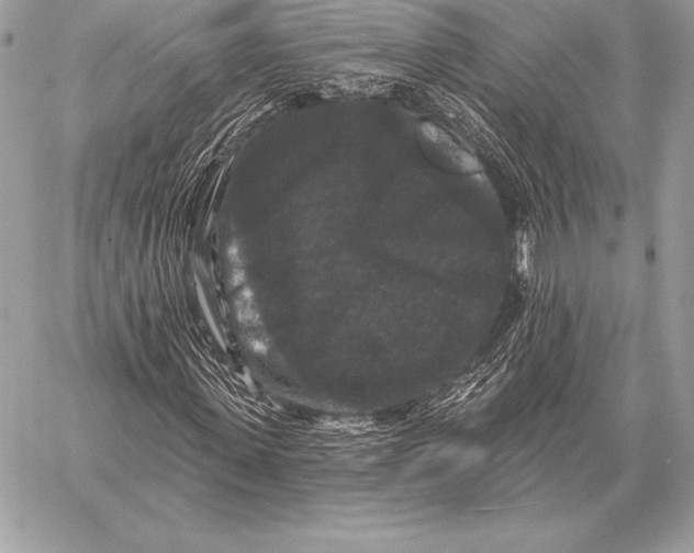 X0000059840915200511111740