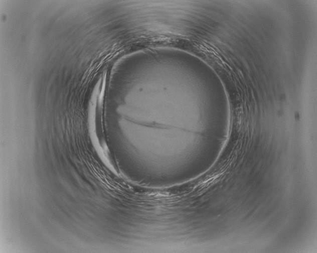 X0000059840916200511111740