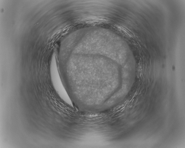 X0000059840917200511111740