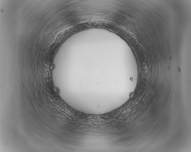 X0000059840918200511111740