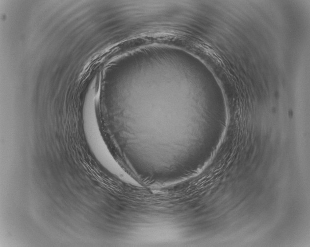 X0000059840920200511111741