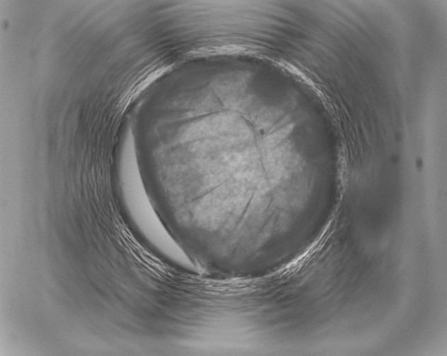 X0000059840921200511111741