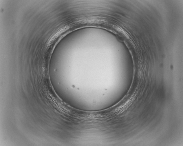 X0000059840922200511111741