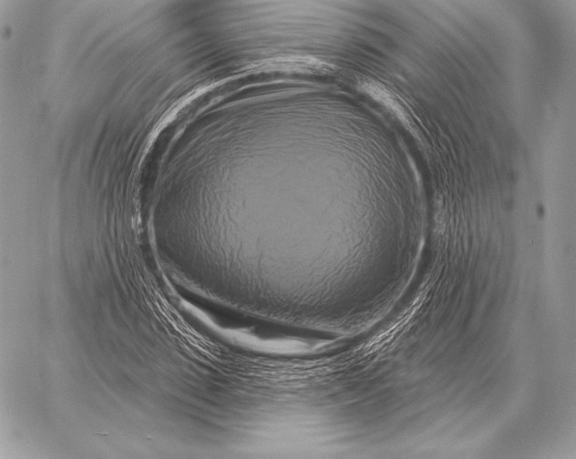 X0000059840923200511111741