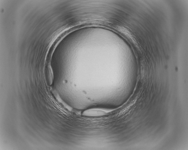 X0000059840924200511111741