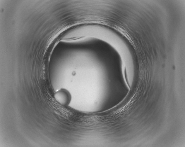 X0000059840926200511111741