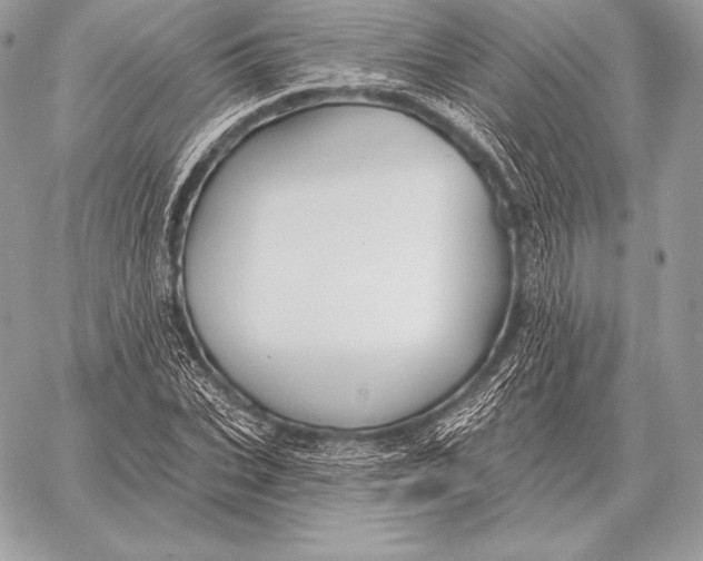 X0000059840927200511111741