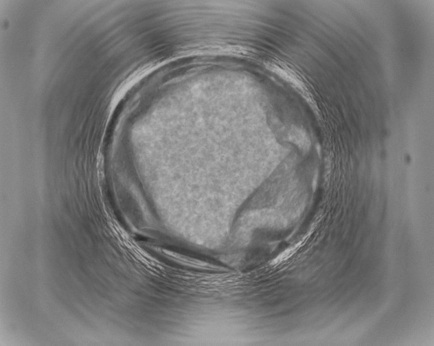 X0000059840928200511111741