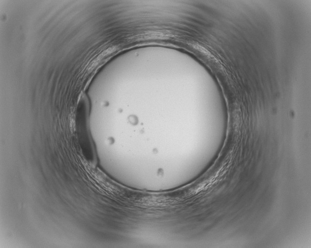 X0000059840929200511111741