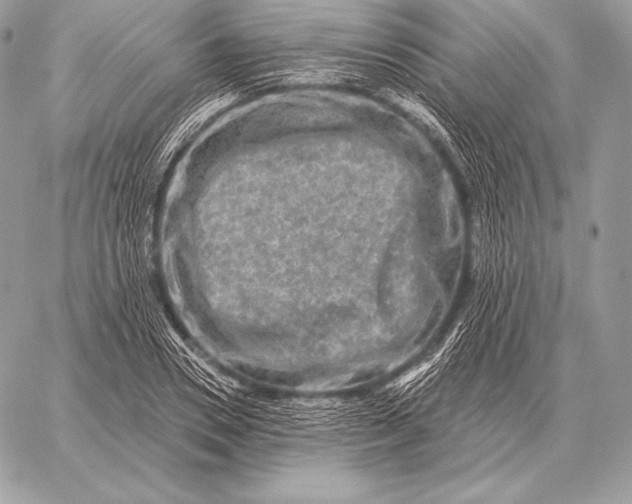 X0000059840930200511111741