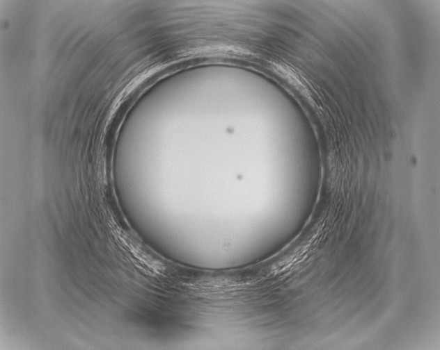 X0000059840931200511111741