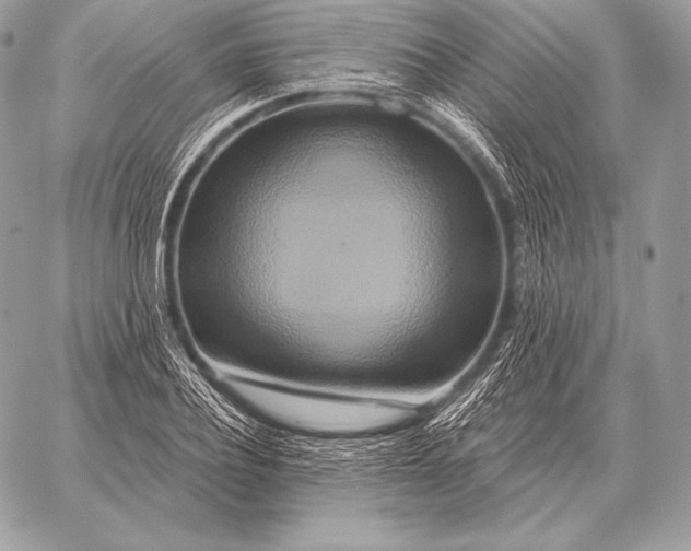 X0000059840932200511111741