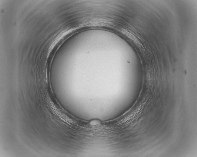 X0000059840934200511111741