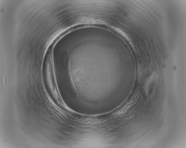 X0000059840935200511111741