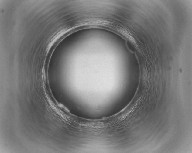 X0000059840936200511111741