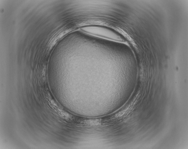 X0000059840937200511111741