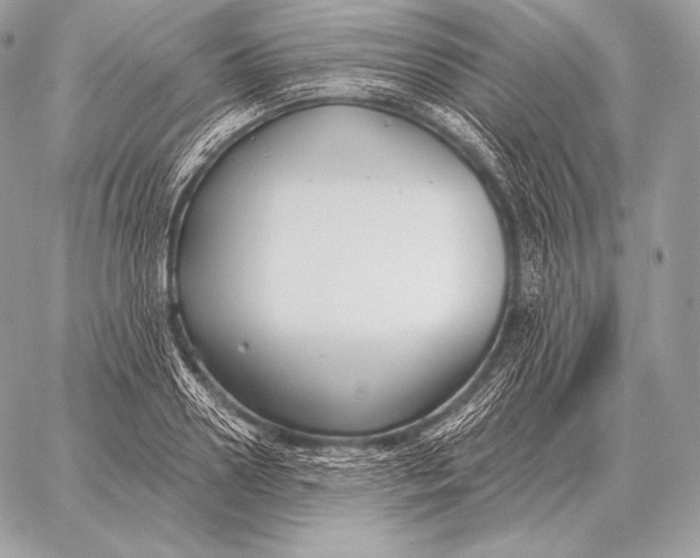 X0000059840938200511111741