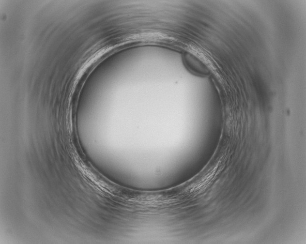 X0000059840939200511111741