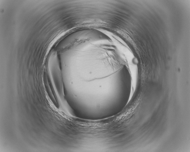 X0000059840941200511111741