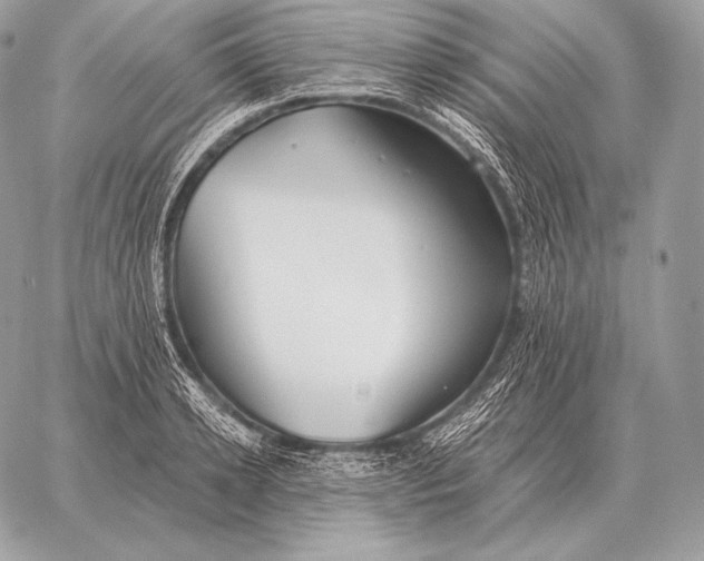 X0000059840942200511111741