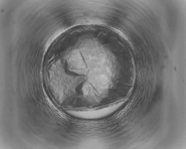 X0000059840943200511111741