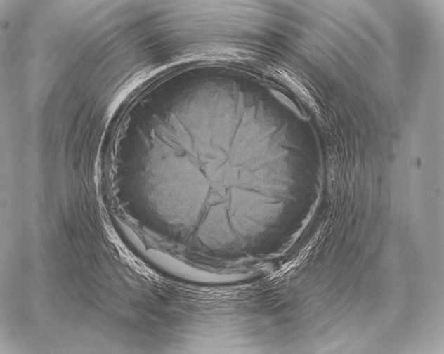 X0000059840944200511111741