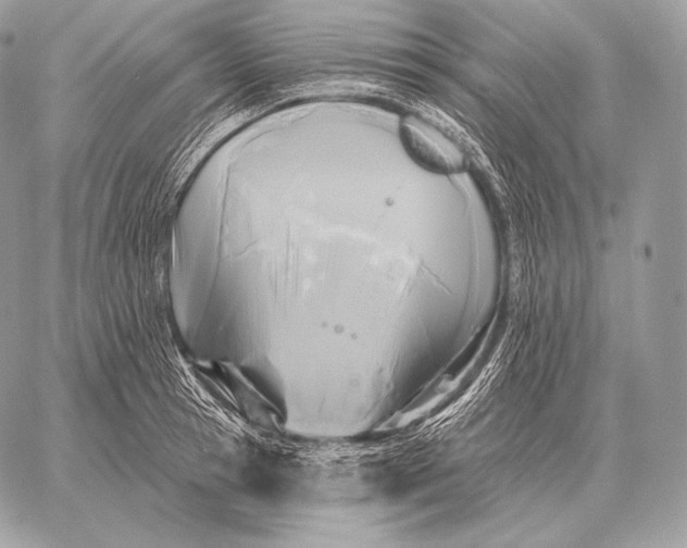 X0000059840945200511111741