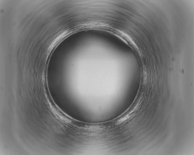 X0000059840946200511111741