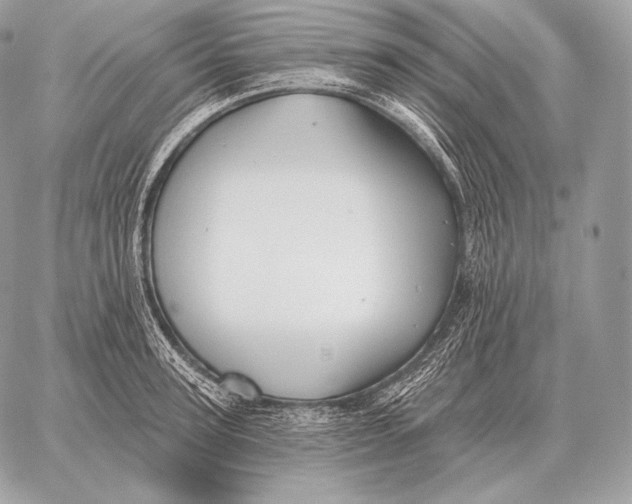 X0000059840947200511111741