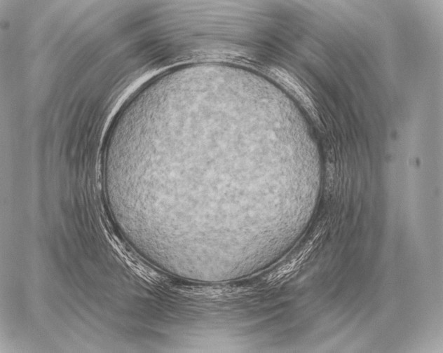 X0000059840948200511111741