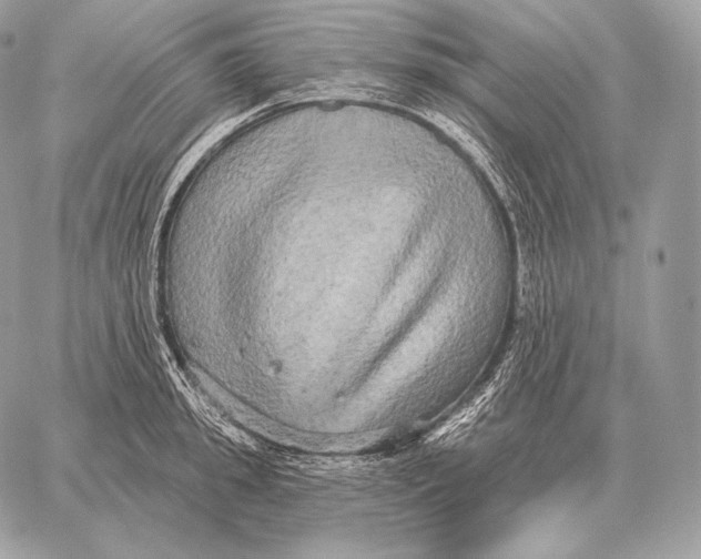 X0000059840949200511111741