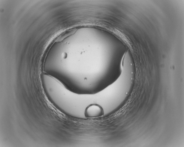 X0000059840950200511111741