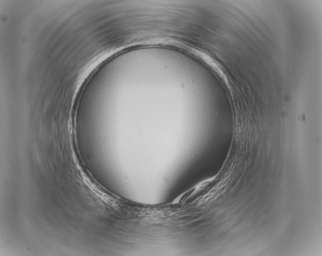 X0000059840951200511111741