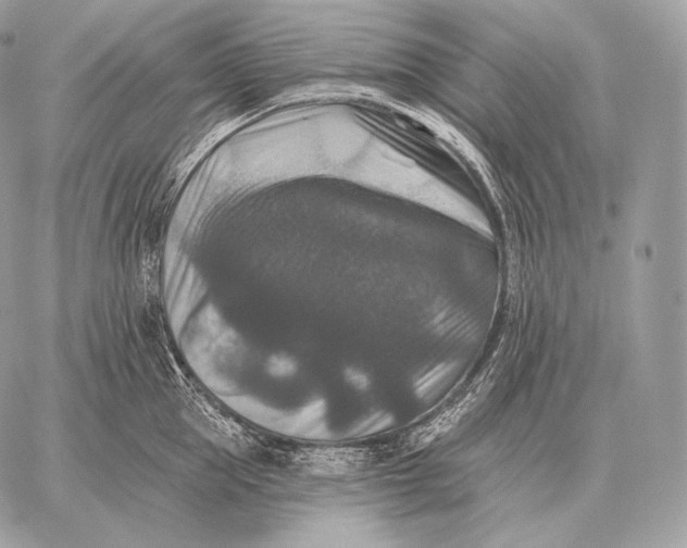 X0000059840953200511111741