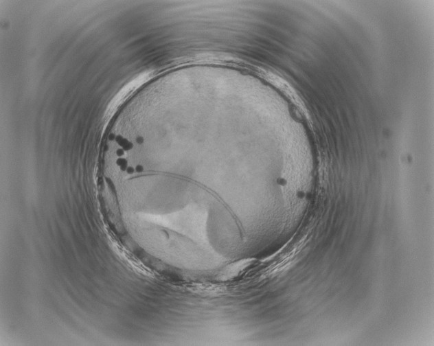 X0000059840954200511111741