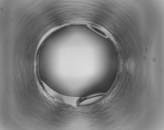 X0000059840955200511111741