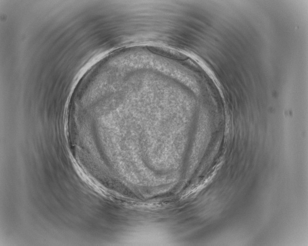 X0000059840957200511111741