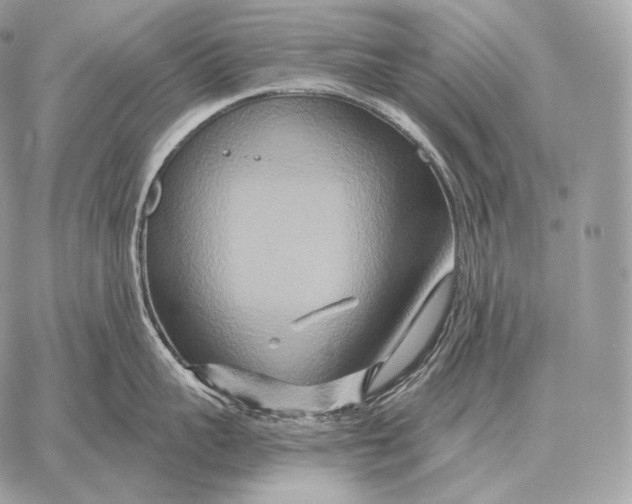 X0000059840959200511111741